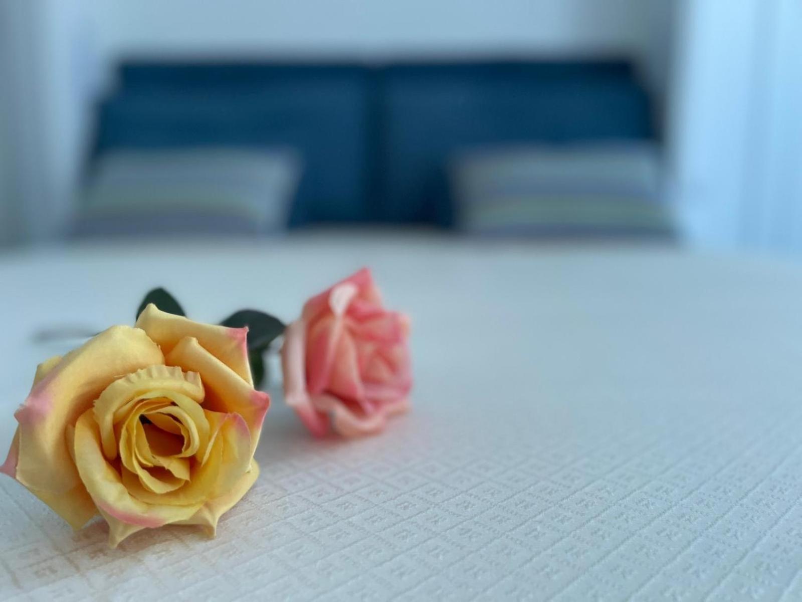 Aurora View Resort 马斯卡利 外观 照片